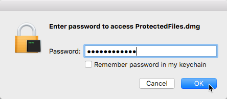 Forgot password for dmg file mac download